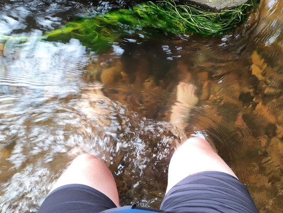 Senkrecht von oben fotografiert: meine nackten Beine, die bis zu den Knien im Wasser eines Bachs stehen. Ein großer Stein, der vir meinen Füssen steht, ragt aus dem Wasser heraus, ein paar Grasstränge werden drangespült