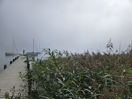 Der Ammersee am 07.09.2024 
Noch in der Zeit w3o sich der Nebel auflöst.