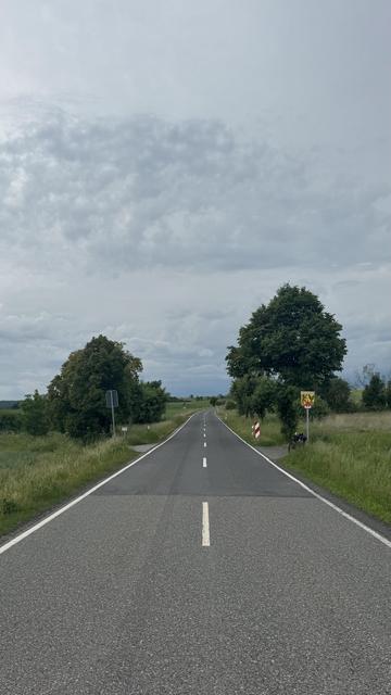 Eine zweispurige Straße erstreckt sich in die Ferne, flankiert von viel Grün und Bäumen auf beiden Seiten. Der Himmel ist mit grauen Wolken bedeckt und schafft eine ruhige Atmosphäre. Einige Straßenschilder sind sichtbar, darunter ein dekoratives Schild, das den Bereich anzeigt.