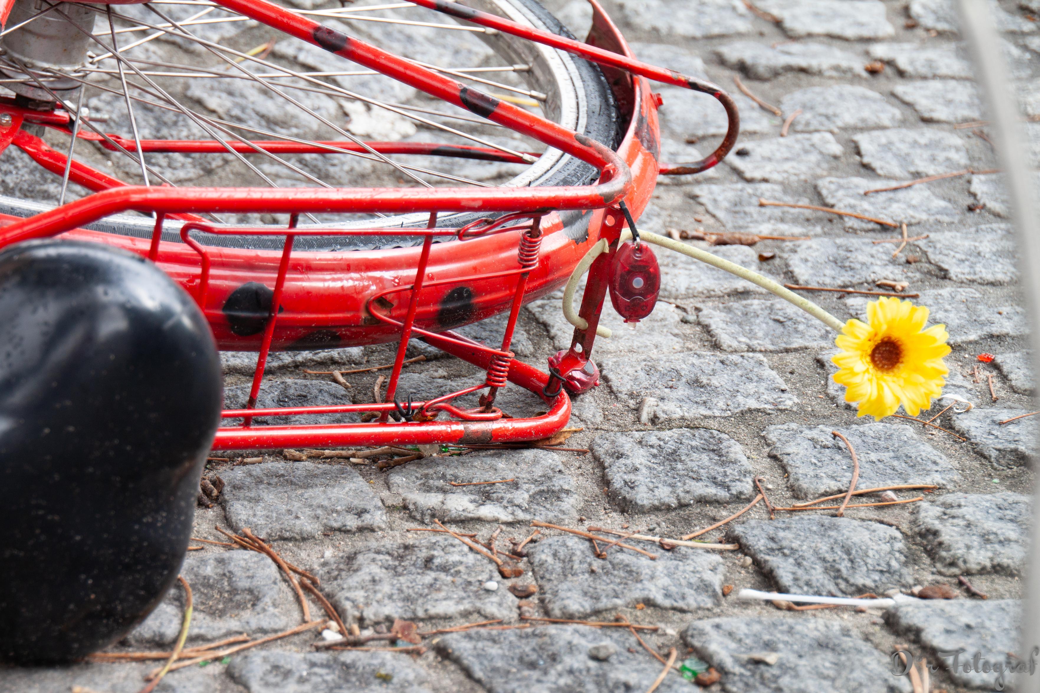 Auf Kopfsteinpflaster liegendes rotes Fahrrad mit einer gelben Blume am Gepäcktrager. Vom Fahrrad sieht man nur das hintere Schutzblech, den Gepäckträger und einen Teil vom Sattel