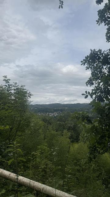 Ein malerischer Blick auf eine grüne Landschaft mit dichtem Laub im Vordergrund, die zu sanften Hügeln im Hintergrund unter einem bewölkten Himmel führt.