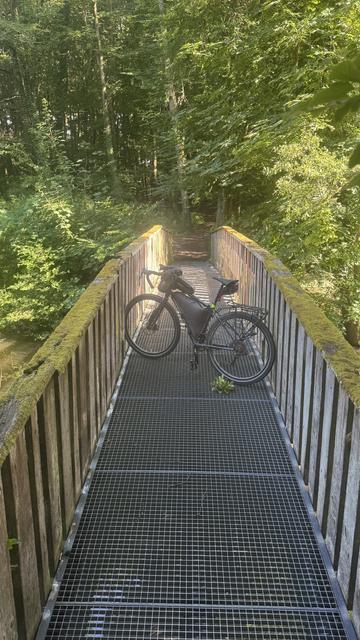 Ein Fahrrad ist auf einer schmalen Brücke geparkt, umgeben von dichtem Grün, mit Sonnenlicht, das durch die Bäume filtert. Die Brücke verfügt über einen Gitterboden und Holzseiten, die in ein Waldgebiet führen.