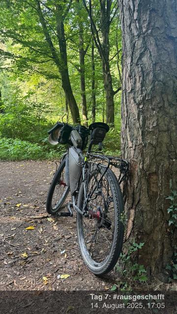 Ein Fahrrad lehnt gegen einen Baum in einem üppigen Wald. Sonnenlicht filtert durch das grüne Laub und beleuchtet den mit abgefallenen Blättern bedeckten Feldweg. Das Bild enthält ein Datum und einen Hashtag in der unteren rechten Ecke.
