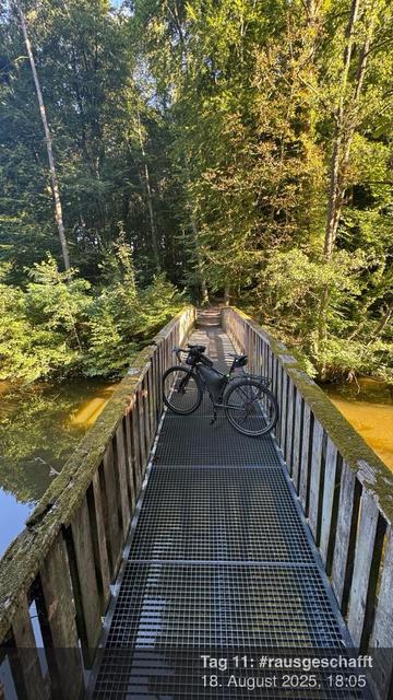 Ein Fahrrad ist auf einer Holzbrücke geparkt, umgeben von üppigem Grün und einem Gewässer darunter. Die Szene ist ruhig und zeigt einen Weg durch ein Waldgebiet.