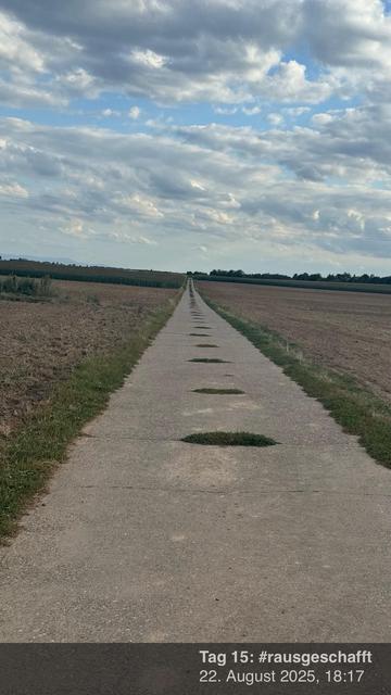 Ein langer, gerader Weg erstreckt sich in die Ferne, flankiert von Feldern auf beiden Seiten. Der Himmel ist teilweise bewölkt, und der Boden zeigt Grasflecken, die über den Bürgersteig wachsen.