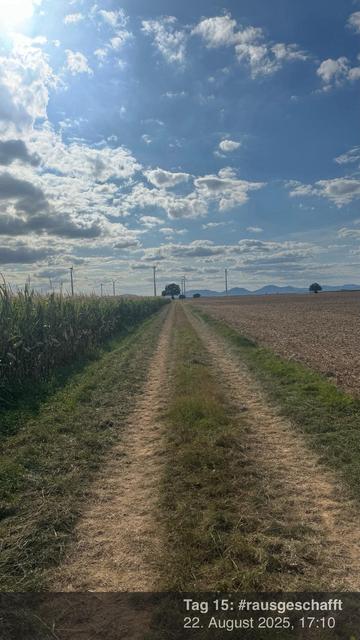 Ein Feldweg führt durch Felder, die auf der einen Seite von Mais und auf der anderen von Feldland begrenzt sind und zu weit entfernten Bergen führen. Windkraftanlagen sind im Hintergrund unter einem teilweise bewölkten Himmel zu sehen.