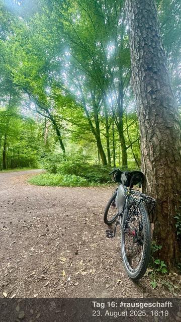 Ein Fahrrad lehnt sich an einen Baum auf einem Waldweg, der von viel Grün umgeben ist. Der Boden ist mit Schmutz und verstreuten Blättern bedeckt.