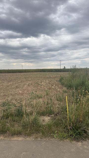 Ein bewölkter Himmel über einem kürzlich gemähten Feld, mit hohem Gras und Sträuchern im Vordergrund. Im Hintergrund befinden sich Stromleitungen in der Nähe eines Maisfeldes. Auf der rechten Seite ist eine gelbe Stange sichtbar.
