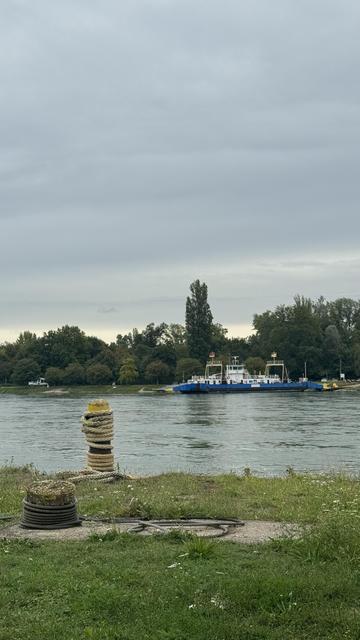 Eine ruhige Flussszene mit einer Fähre, die im Hintergrund angedockt ist. Im Vordergrund befinden sich Seilspiralen und eine grasbewachsene Fläche. Der Himmel ist mit grauen Wolken bedeckt, und Bäume säumen das Flussufer.