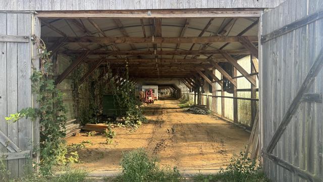 Ein Blick auf ein leeres Scheuneninterieur mit Holzbalken, Schmutzböden und überwachsener Vegetation. Ein roter Traktor und einige Geräte sind in der Ferne sichtbar, während das Sonnenlicht durch die Struktur filtert. Die Scheunentüren sind am Eingang offen.