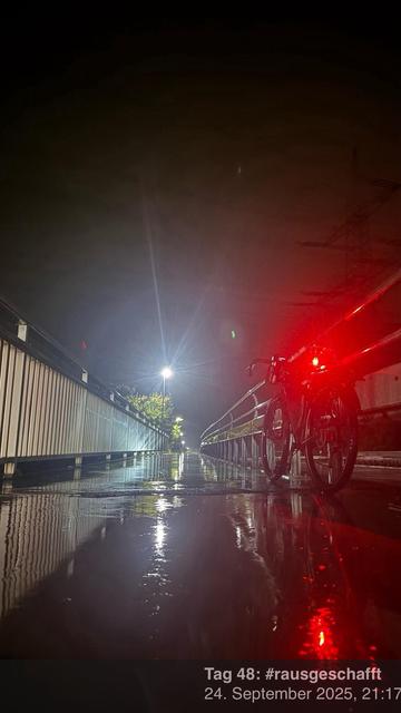 Ein Fahrrad wird nachts auf einer nassen Oberfläche geparkt, die von Straßenlaternen beleuchtet wird. Die Szene enthält Reflexionen im Wasser, mit roten und grünen Lichtern im Hintergrund.