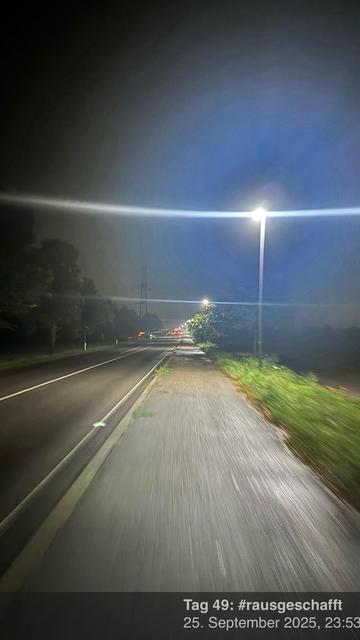 Eine nächtliche Szene einer teilweise beleuchteten Straße, die von Straßenlaternen und Grün gesäumt ist. Das Bild zeigt eine verschwommene Perspektive, die auf Bewegung hindeutet, mit einem schwachen Schein, der auf entfernte Fahrzeuge hinweist.