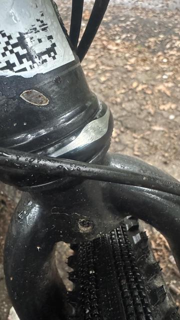 Nahaufnahme eines Fahrradrahmens, der den Bereich der Gabelschafts mit etwas Verschleiß und Kratzern, einem glänzenden silbernen Rand und einer nassen Oberfläche zeigt. 

Das Bild hat einen verschwommenen Hintergrund aus Blättern und Kies.