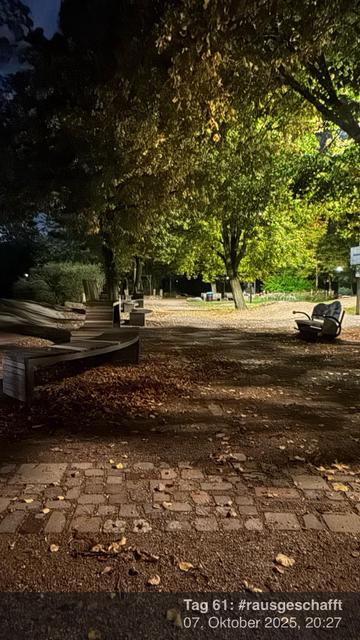 Ein wenig beleuchteter Parkweg ist von Bäumen umgeben, die Herbstfarben und verstreute Blätter zeigen. Mehrere Bänke sind entlang des Gehwegs positioniert und schaffen eine ruhige Atmosphäre. Die Szene fängt die Essenz der Nacht in einem öffentlichen Raum ein.
