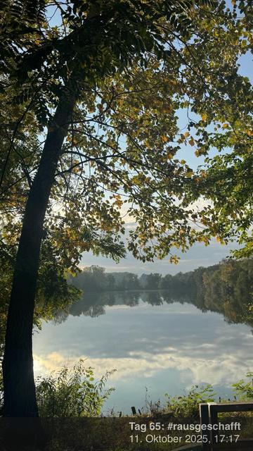 Ein ruhiger Blick auf den See mit einer Reflexion auf das Wasser, eingerahmt von Zweigen und Blättern, die einen Hauch von Herbstfarben zeigen.