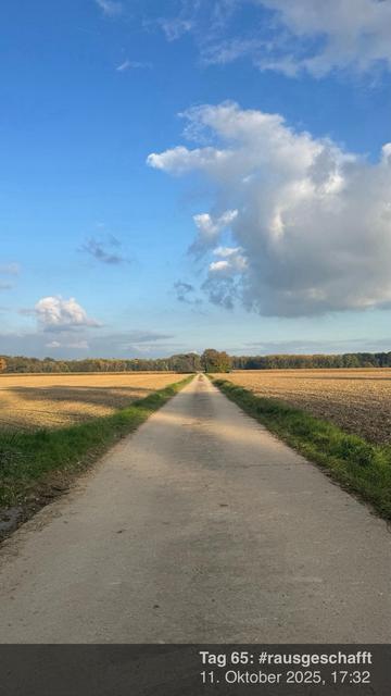 Eine malerische ländliche Szene mit einer unbefestigten Straße, die sich durch ein Feld erstreckt und auf beiden Seiten von grünem Gras flankiert wird. Der Himmel ist klar mit einigen Wolken, und Waldgebiete sind in der Ferne zu sehen.