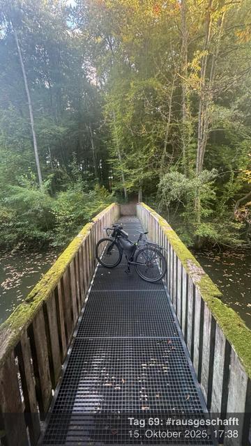 Ein Fahrrad ist auf einer schmalen Brücke aus Metallgitter geparkt, umgeben von dichtem Grün. Die Brücke überblickt ein Gewässer mit gefallenen Blättern, und das Sonnenlicht filtert durch die Bäume.
