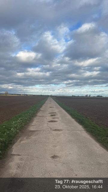Ein langer, gerader Weg erstreckt sich durch eine weitläufige landwirtschaftliche Landschaft, die von braunen Feldern gesänt wird. Der Himmel ist mit verstreuten Wolken gefüllt, die eine ruhige Atmosphäre schaffen.
