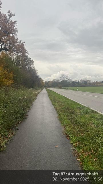 Ein geteerter Weg, der von Grün und Bäumen unter einem bewölkten Himmel gesäumt wird. Die Szene zeigt eine Straße entlang des Weges, was auf eine ländliche oder halbländliche Umgebung hindeutet.