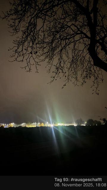 Eine Nachtszene mit silhouettenförmigen Ästen im Vordergrund und beleuchteten Strukturen in der Ferne, teilweise durch Nebel verdeckt.