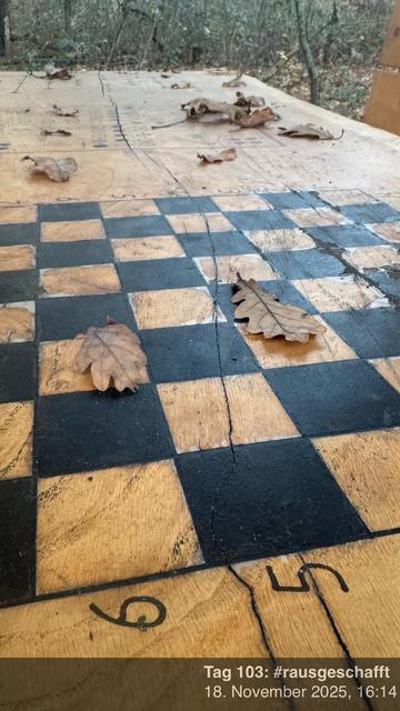 Eine Nahaufnahme eines Schachbretts aus Holz mit einem karierten Muster mit schwarzen und hellen Holzquadraten. Mehrere getrocknete Blätter sind über die Oberfläche verstreut. Die Zahlen sind an den Rändern des Boards sichtbar und zeigen mögliche Rankings oder Positionen an.