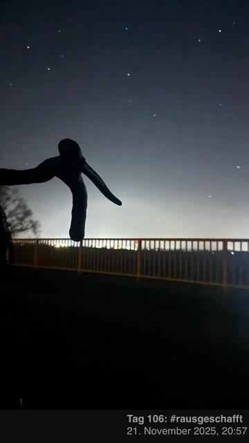 Eine Silhouette eines Fahrradlenkers gegen einen mit Sternen gefüllten Nachthimmel. Eine beleuchtete Landschaft ist im Hintergrund sichtbar, zusammen mit einem Geländer im Vordergrund.